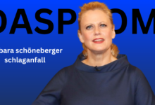 barbara schöneberger schlaganfall